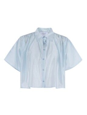 The Shirt Rochelle Behrens Sky Blue The Hayden Button Down Shirt Size XS
